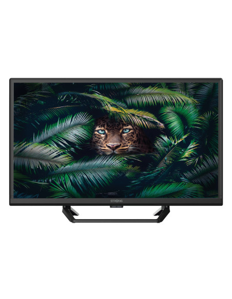 Strong SRT 24HE4023C 61 cm (24") HD Negro 180 cd   m²