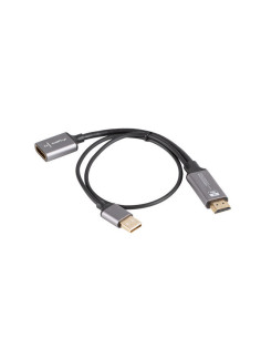 Lanberg AD-HD-DP-02 adaptador de cable de vídeo 0,2 m HDMI tipo A (Estándar) DisplayPort Plata