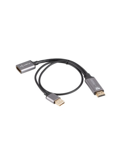 Lanberg AD-HD-DP-02 adaptador de cable de vídeo 0,2 m HDMI tipo A (Estándar) DisplayPort Plata