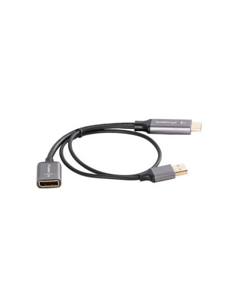 Lanberg AD-HD-DP-02 adaptador de cable de vídeo 0,2 m HDMI tipo A (Estándar) DisplayPort Plata
