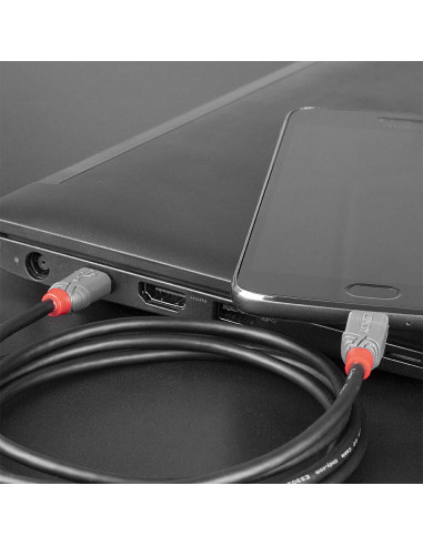 Lindy 36892 cable USB USB 2.0 2 m USB C Micro-USB B Negro, Gris