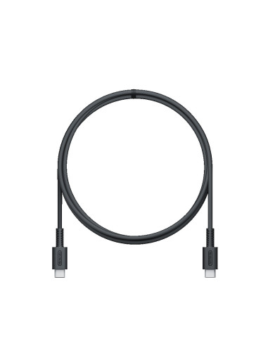 Nintendo 10015096 cargador de dispositivo móvil Consola de juegos portátil Negro Corriente alterna Interior
