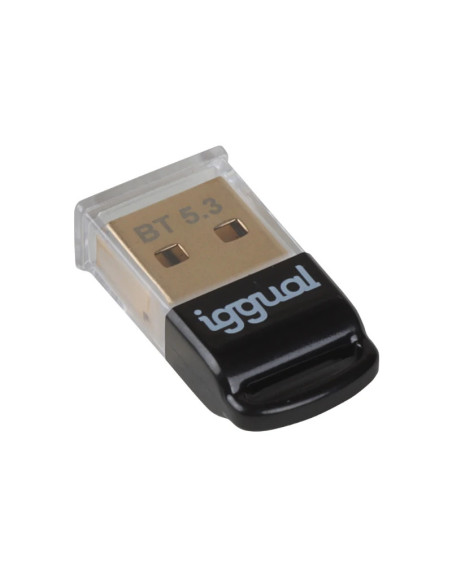 iggual IGG319383 tarjeta y adaptador de interfaz Interno Bluetooth