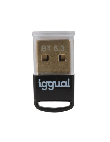 iggual IGG319383 tarjeta y adaptador de interfaz Interno Bluetooth