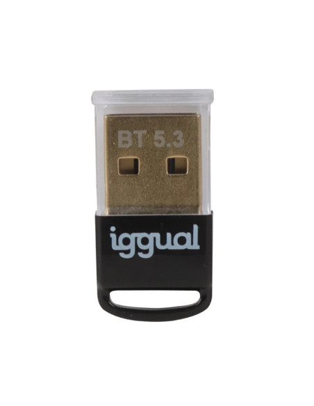 iggual IGG319383 tarjeta y adaptador de interfaz Interno Bluetooth
