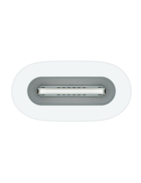 Apple USB-C to Pencil Adapter Blanco 1 pieza(s)