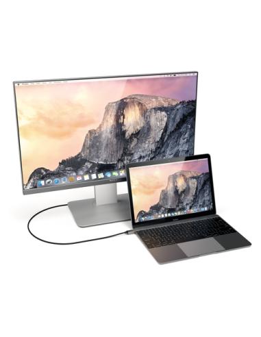 Satechi ST-CHDMIM Adaptador gráfico USB Gris