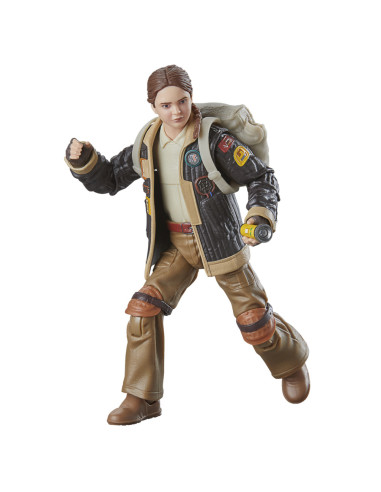 Star Wars The Black Series Fern