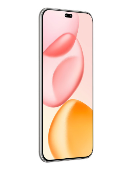 Honor 400 Pro 17 cm (6.7") MagicOS 9.0 5G 12 GB 512 GB 5300 mAh Gris