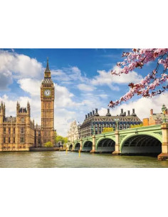 Ravensburger 88777 puzzle Puzzle rompecabezas 1000 pieza(s) Ciudad 2