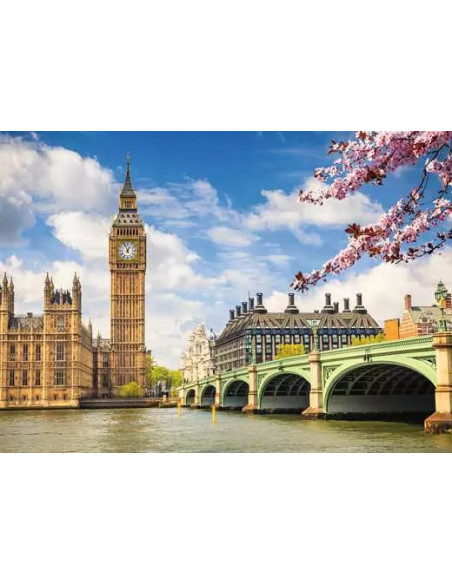 Ravensburger 88777 puzzle Puzzle rompecabezas 1000 pieza(s) Ciudad