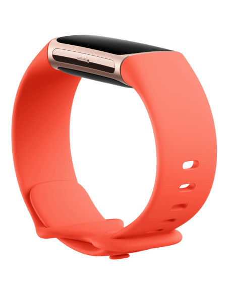 Fitbit Charge 6 AMOLED Pulsera de actividad Oro