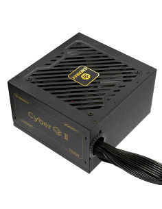 Enermax ERV750G-AHG-NAC unidad de fuente de alimentación 750 W 20+4 pin ATX ATX Negro
