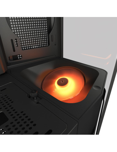 COUGAR CGR-58M6B-RGB Midi Tower Negro