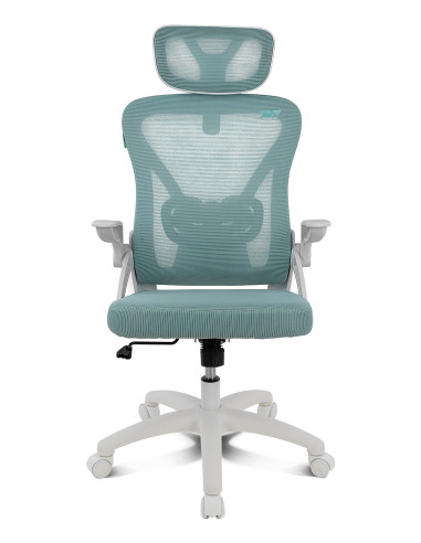 DRIFT DRAIR35 Silla para videojuegos universal