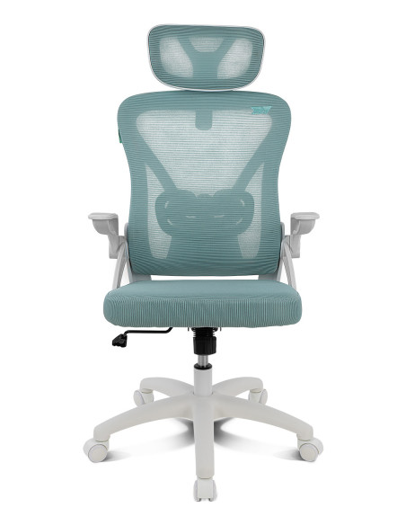 DRIFT DRAIR35 Silla para videojuegos universal