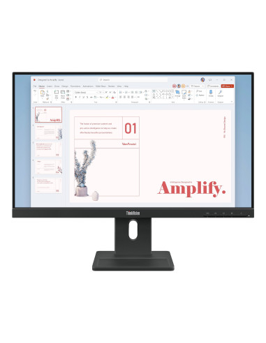 Lenovo ThinkVision E24-40 Monitor