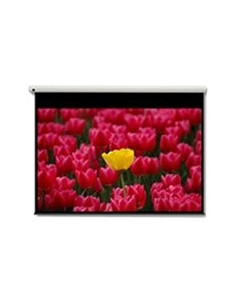 Optoma Pantalla 16 9 2656 x 1494mm pantalla de proyección 3,05 m (120")