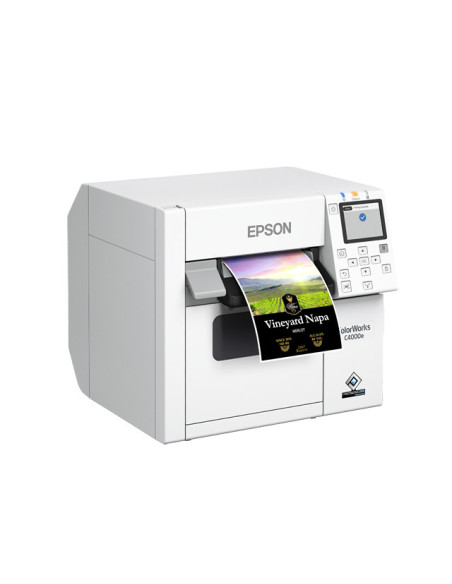 Epson CW-C4000e (bk)
