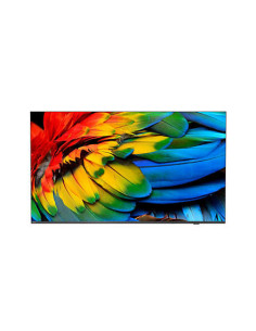 Philips 65HFL6214U 12 Televisor 165,1 cm (65") 4K Ultra HD Wifi Antracita 400 cd   m²