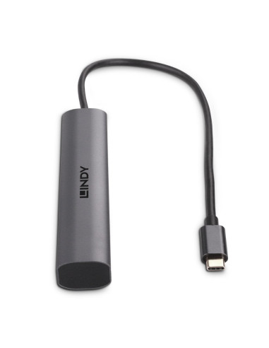 Lindy 43384 hub de interfaz USB Tipo C 10000 Mbit s Gris