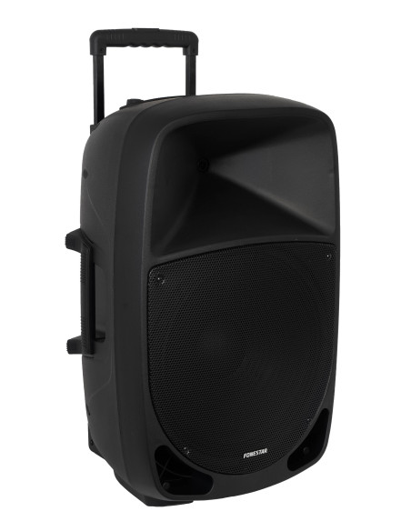 Fonestar MALIBU-315 altavoz Negro Inalámbrico y alámbrico 250 W