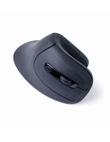 Gembird MUSW-ERGO-03 ratón Hogar mano derecha RF inalámbrico Óptico 1600 DPI