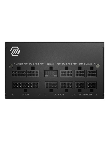 MSI MAG A750GL PCIE5 II unidad de fuente de alimentación 750 W 20+4 pin ATX ATX Negro