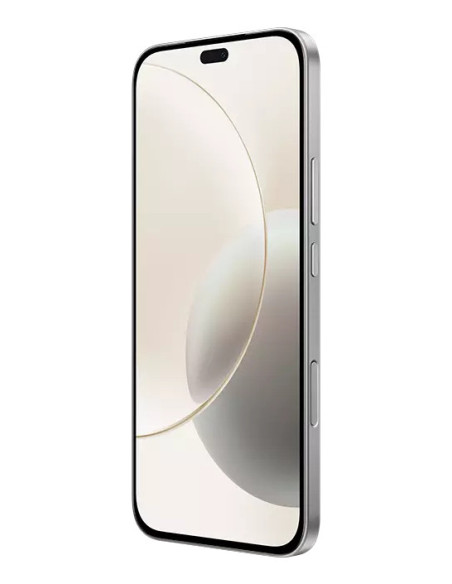 Honor 400 Lite 17 cm (6.7") SIM doble MagicOS 9.0 5G USB Tipo C 8 GB 256 GB 5230 mAh Gris