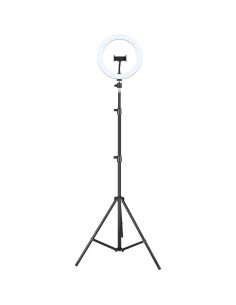 iggual IGG317235 tripode Sistema de iluminación 3 pata(s) Negro