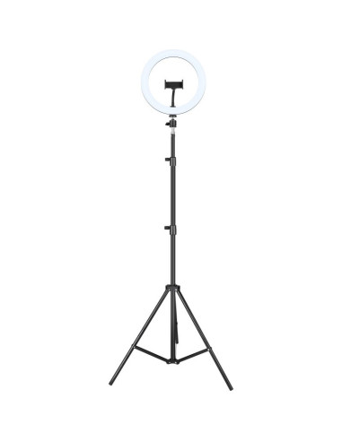 iggual IGG317235 tripode Sistema de iluminación 3 pata(s) Negro