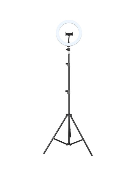 iggual IGG317235 tripode Sistema de iluminación 3 pata(s) Negro