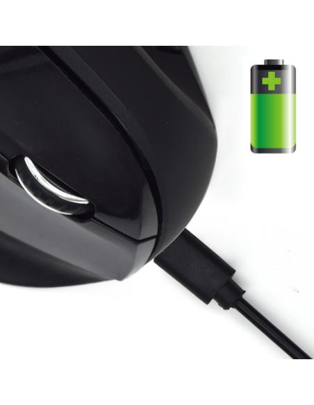 Ewent Ratón inalámbrico y ergonómico