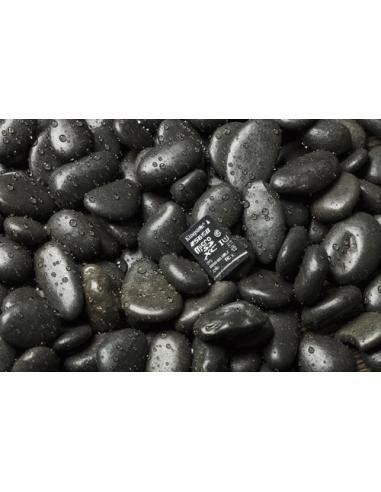 Kingston Technology Canvas Select 256 GB MicroSDXC UHS-I Clase 10