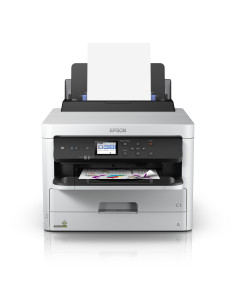 Epson DURABrite Pro 2