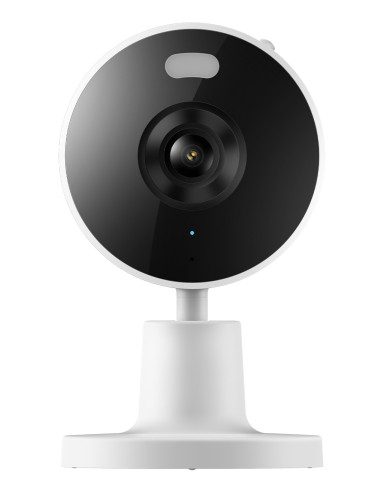 Xiaomi Smart Camera C100 Esférico Cámara de seguridad IP Interior 2304 x 196 Pixeles Techo Pared Escritorio