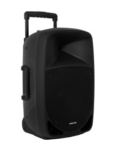 Fonestar MALIBU-312 altavoz Negro Inalámbrico y alámbrico 250 W 2