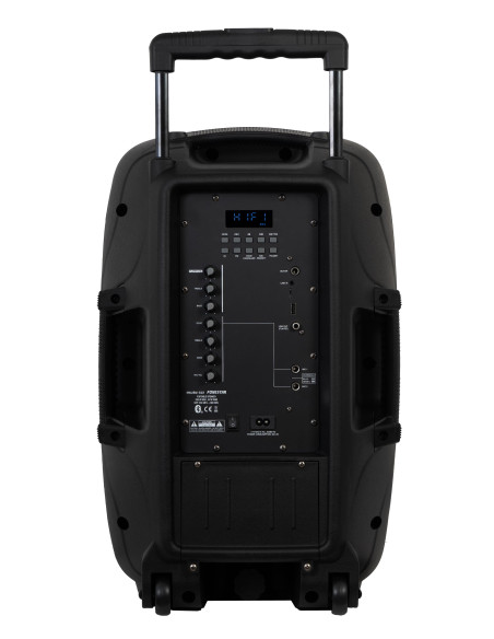 Fonestar MALIBU-312 altavoz Negro Inalámbrico y alámbrico 250 W