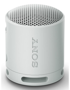 Sony SRS-XB100 Altavoz monofónico portátil Gris