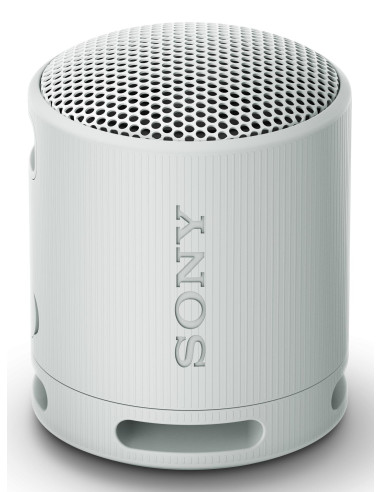 Sony SRS-XB100 Altavoz monofónico portátil Gris