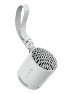 Sony SRS-XB100 Altavoz monofónico portátil Gris 2