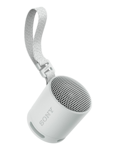 Sony SRS-XB100 Altavoz monofónico portátil Gris