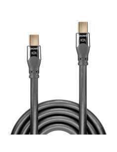 Lindy 36307 cable DisplayPort 2 m Mini DisplayPort Gris 2