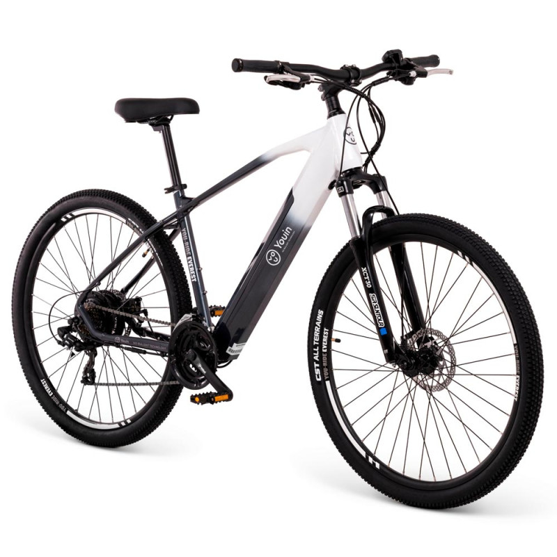 Youin BK3100M You-Ride Everest, 14 Ah, 36 V, 504 Wh, 2,86 cm, 30 cm, Aluminio