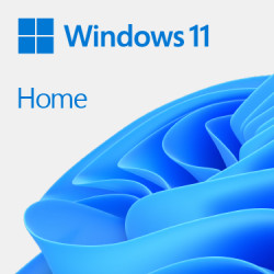 Microsoft KW9-00638 Windows 11 Home, Alemán, 1 licencia(s), 64 GB, 4 TB, 1000 GHz, DVD
