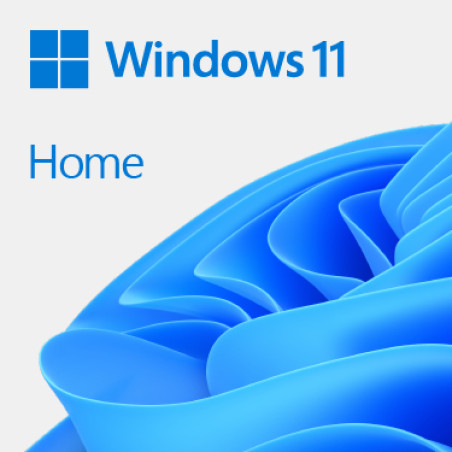 Microsoft KW9-00638 Windows 11 Home, Alemán, 1 licencia(s), 64 GB, 4 TB, 1000 GHz, DVD