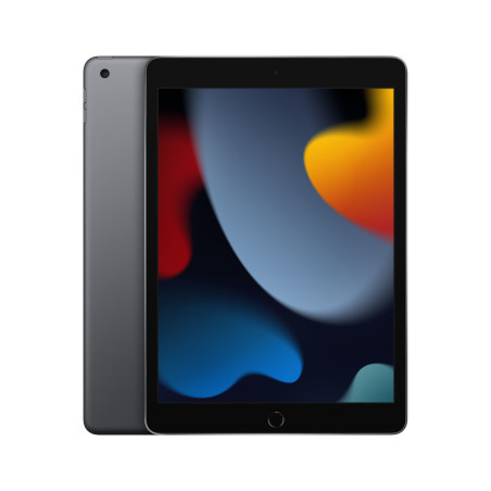 Apple iPad 256 GB 25,9 cm (10.2") Wi-Fi 5 (802.11ac) iPadOS 15 Gris