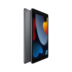 Apple iPad 256 GB 25,9 cm (10.2") Wi-Fi 5 (802.11ac) iPadOS 15 Gris 2