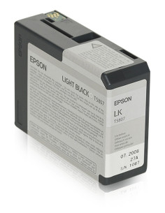 Epson Cartucho T580700 gris