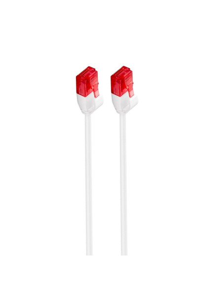 Ewent IM1036 cable de red Blanco 0,5 m Cat6 U UTP (UTP)
